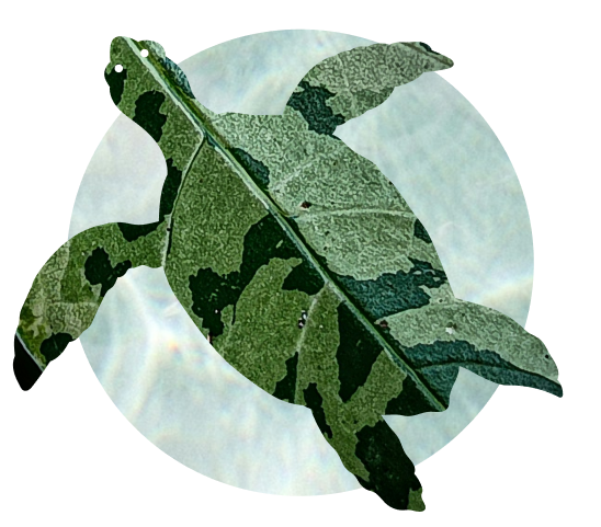 Contact Hero Image