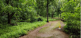 Rani Baug Birdwatch — BNHS event