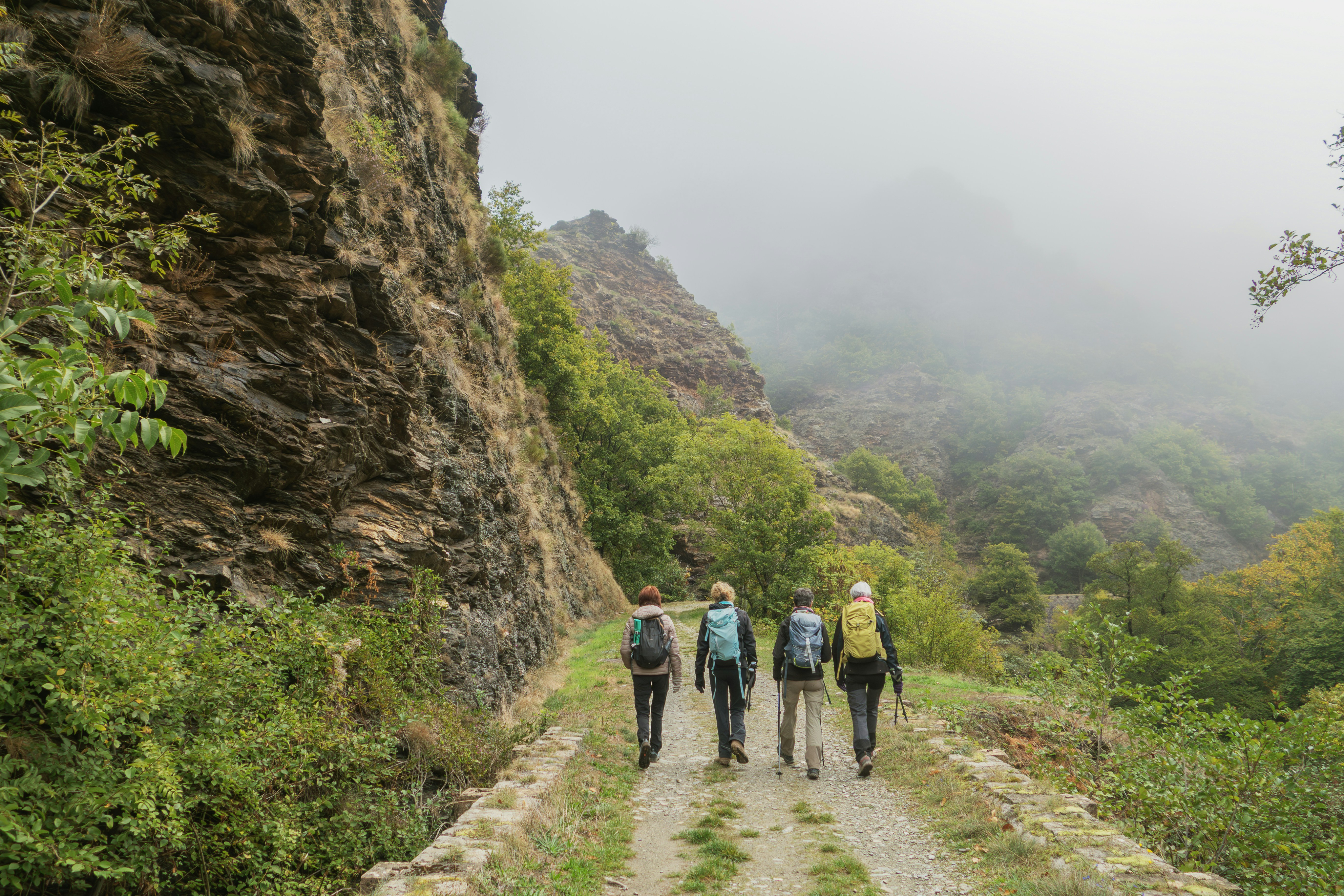 Hikers on a mountain trail, representing BNHS events and outdoor experiences
