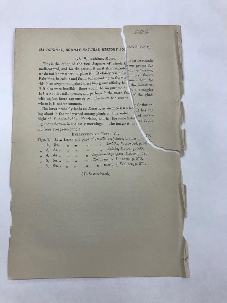 Book conservation thumbnail 2